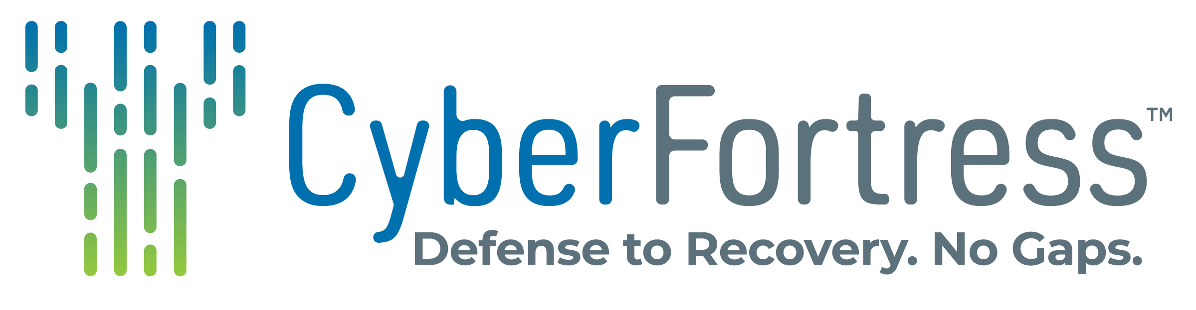 cyberfortress logo dtr