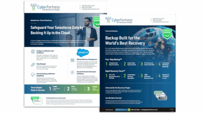 Salesforce Cloud Backup